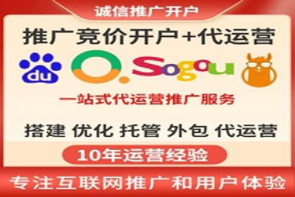 网络推广竞价策略解析与应用案例